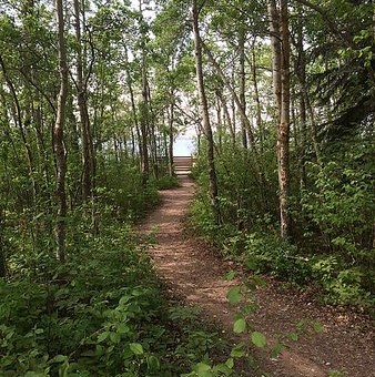 Jarvis Bay Trail